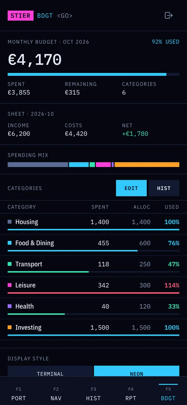 StierTerm screen: Monthly budget, neon style